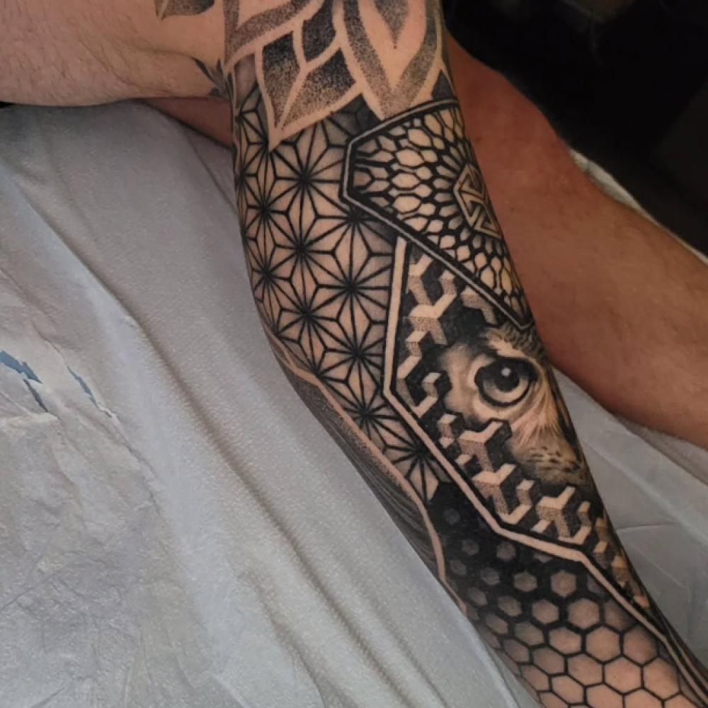 LeBron James Dunk Over Jason Terry: A Memorable Moment, image size:1000x1000